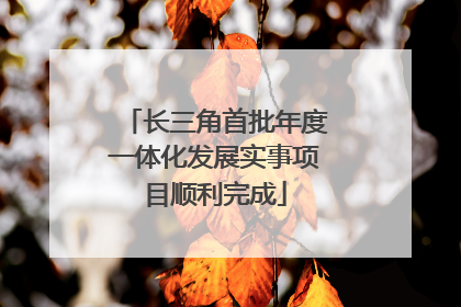 长三角首批年度一体化发展实事项目顺利完成