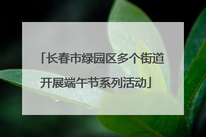 长春市绿园区多个街道开展端午节系列活动