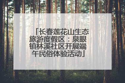 长春莲花山生态旅游度假区：泉眼镇林溪社区开展端午民俗体验活动
