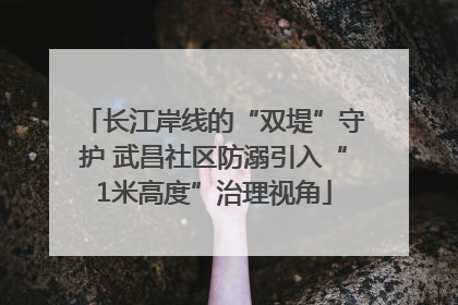 长江岸线的“双堤”守护 武昌社区防溺引入“1米高度”治理视角