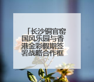 长沙铜官窑国风乐园与香港金彩假期签署战略合作框架协议 实现相关入境游业务增收超亿元