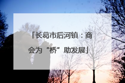 长葛市后河镇：商会为“桥”助发展