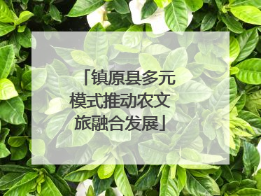 镇原县多元模式推动农文旅融合发展