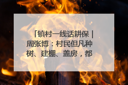 镇村一线话耕保｜周张博：村民但凡种树、建棚、盖房，都要向街道报批