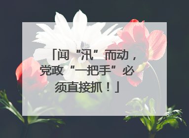 闻“汛”而动，党政“一把手”必须直接抓！