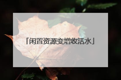 闲置资源变增收活水