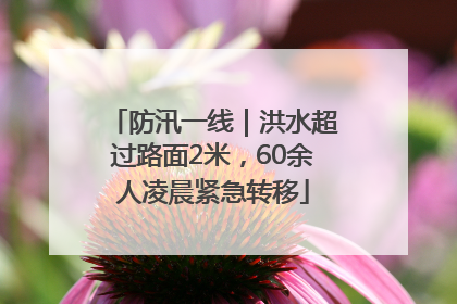 防汛一线｜洪水超过路面2米，60余人凌晨紧急转移