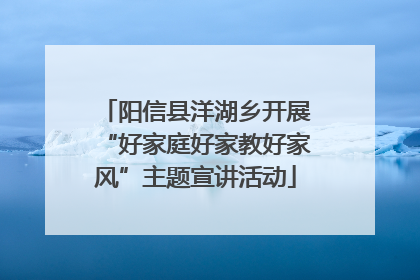 阳信县洋湖乡开展“好家庭好家教好家风”主题宣讲活动