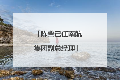 陈詟已任南航集团副总经理