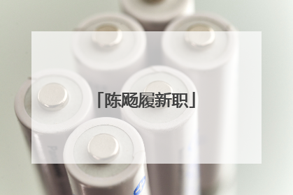 陈飏履新职