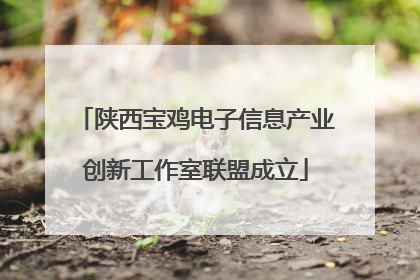 陕西宝鸡电子信息产业创新工作室联盟成立
