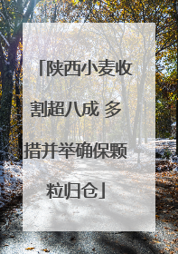 陕西小麦收割超八成 多措并举确保颗粒归仓