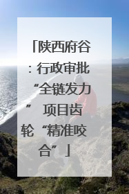陕西府谷：行政审批“全链发力” 项目齿轮“精准咬合”