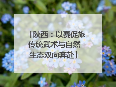 陕西：以赛促旅 传统武术与自然生态双向奔赴