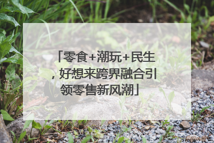 零食+潮玩+民生，好想来跨界融合引领零售新风潮
