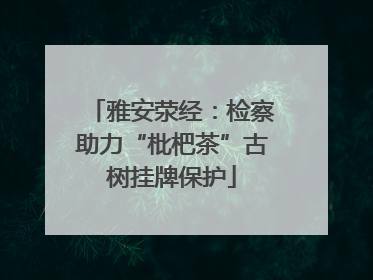 雅安荥经：检察助力“枇杷茶”古树挂牌保护