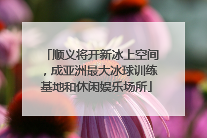 顺义将开新冰上空间，成亚洲最大冰球训练基地和休闲娱乐场所
