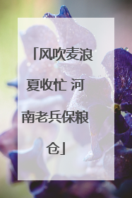 风吹麦浪夏收忙 河南老兵保粮仓