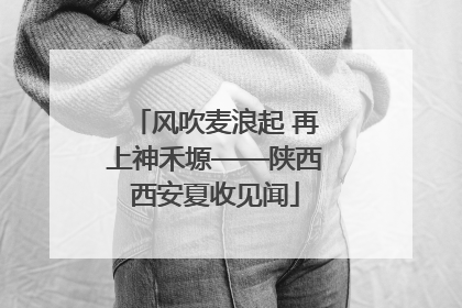 风吹麦浪起 再上神禾塬——陕西西安夏收见闻