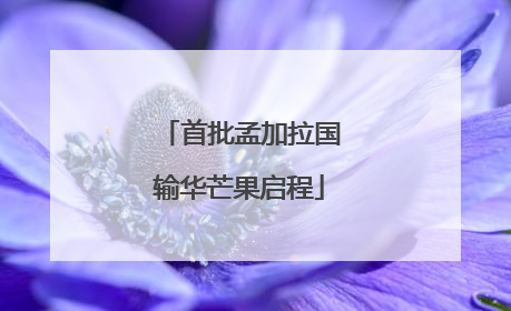 首批孟加拉国输华芒果启程