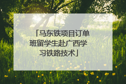 马东铁项目订单班留学生赴广西学习铁路技术
