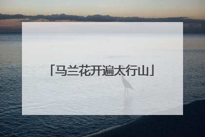 马兰花开遍太行山