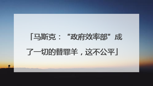 马斯克：“政府效率部”成了一切的替罪羊，这不公平