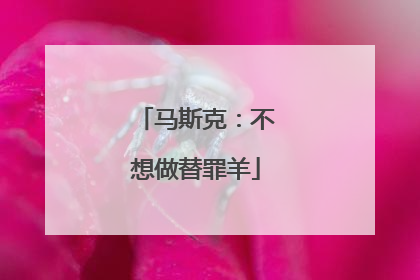 马斯克：不想做替罪羊