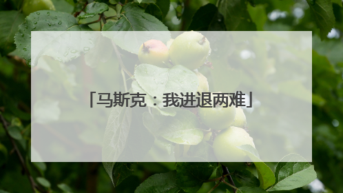 马斯克：我进退两难
