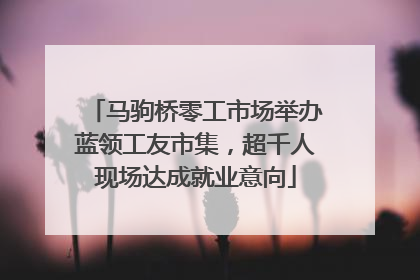 马驹桥零工市场举办蓝领工友市集，超千人现场达成就业意向