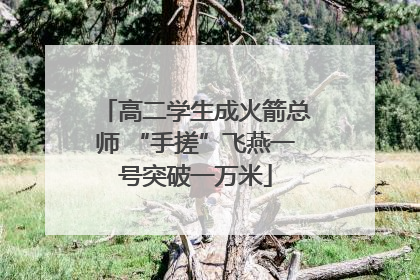 高二学生成火箭总师 “手搓”飞燕一号突破一万米