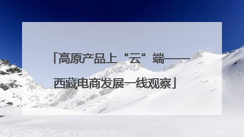 高原产品上“云”端——西藏电商发展一线观察