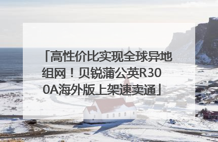 高性价比实现全球异地组网！贝锐蒲公英R300A海外版上架速卖通