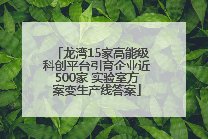 龙湾15家高能级科创平台引育企业近500家 实验室方案变生产线答案