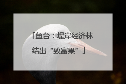 鱼台：堤岸经济林结出“致富果”