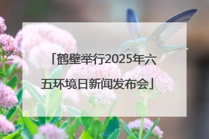鹤壁举行2025年六五环境日新闻发布会