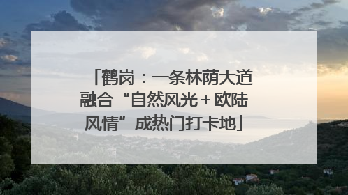 鹤岗：一条林荫大道融合“自然风光＋欧陆风情”成热门打卡地