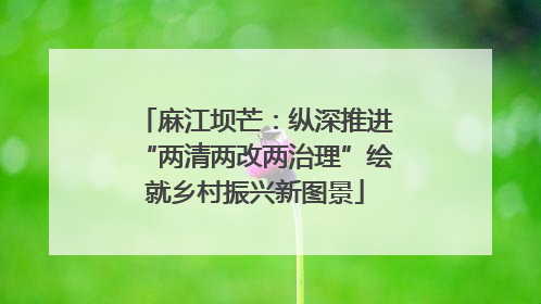 麻江坝芒：纵深推进“两清两改两治理”绘就乡村振兴新图景