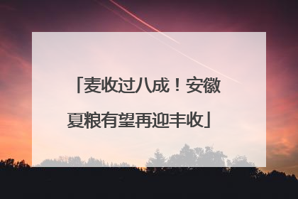 麦收过八成！安徽夏粮有望再迎丰收