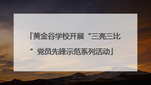黄金谷学校开展“三亮三比”党员先锋示范系列活动