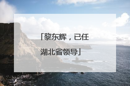 黎东辉，已任湖北省领导