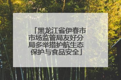 黑龙江省伊春市市场监管局友好分局多举措护航生态保护与食品安全