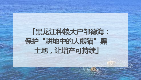 黑龙江种粮大户邹德海：保护“耕地中的大熊猫”黑土地，让增产可持续