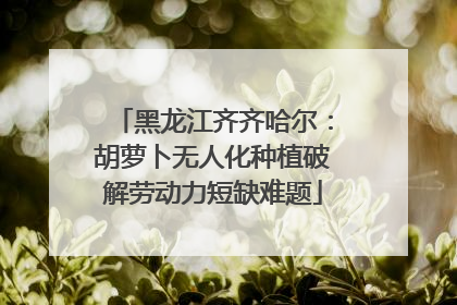 黑龙江齐齐哈尔：胡萝卜无人化种植破解劳动力短缺难题