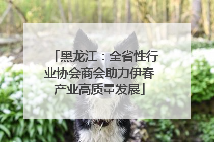 黑龙江：全省性行业协会商会助力伊春产业高质量发展
