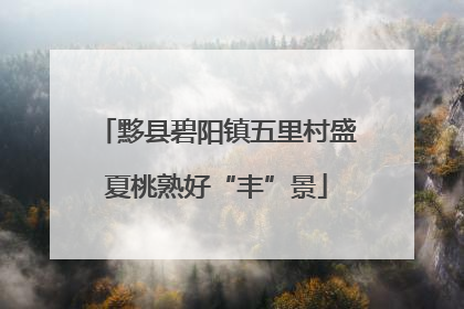 黟县碧阳镇五里村盛夏桃熟好“丰”景