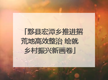 黟县宏潭乡推进撂荒地高效整治 绘就乡村振兴新画卷