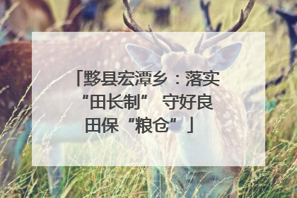 黟县宏潭乡：落实“田长制” 守好良田保“粮仓”