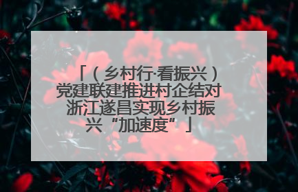 （乡村行·看振兴）党建联建推进村企结对 浙江遂昌实现乡村振兴“加速度”