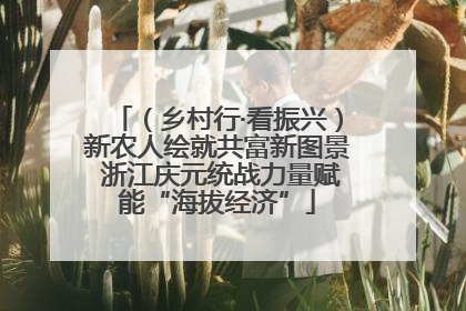 （乡村行·看振兴）新农人绘就共富新图景 浙江庆元统战力量赋能“海拔经济”